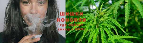 крисы Арсеньев