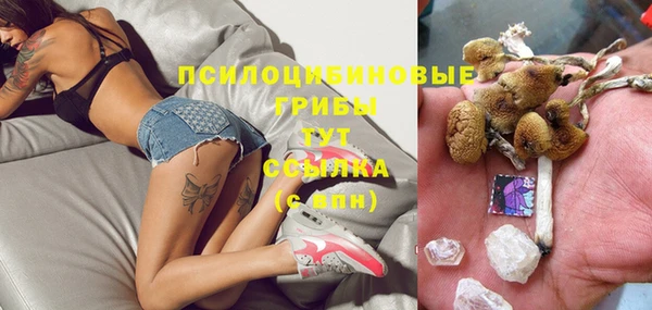 мяу мяу мука Аркадак