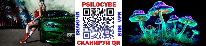 Псилоцибиновые грибы Psilocybe Соликамск